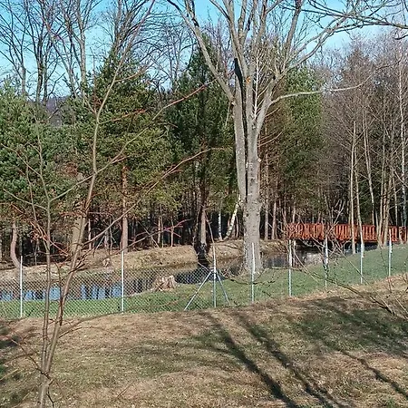 Nad Potokiem * Domaszkow