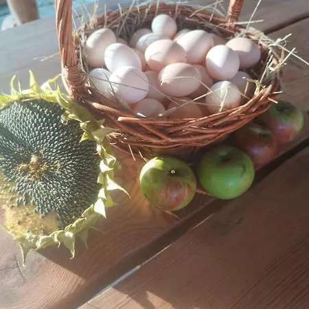 Nad Potokiem Appartement Domaszkow