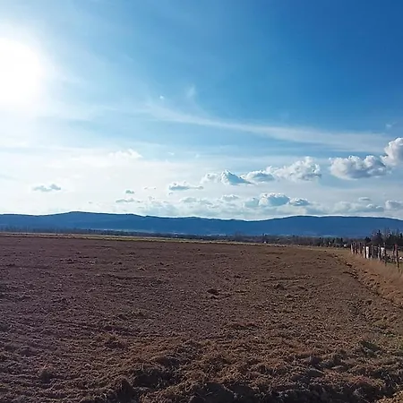 Nad Potokiem * Domaszkow