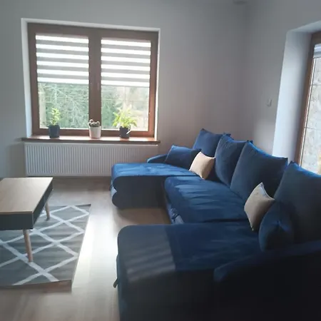 Nad Potokiem Apartment Domaszkow