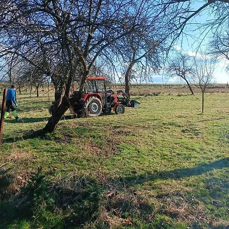 Nad Potokiem * Domaszkow