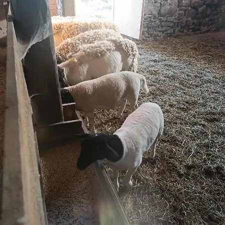 Appartement Nad Potokiem