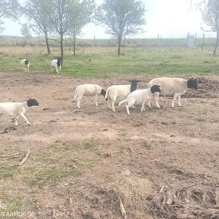 Nad Potokiem * Domaszkow