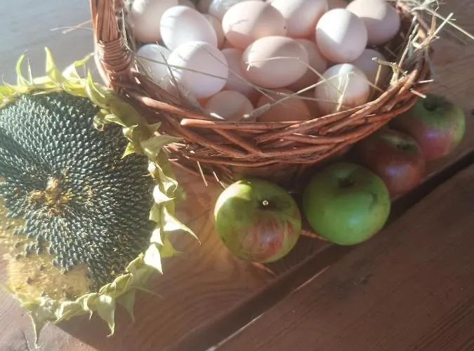 Nad Potokiem Apartment Domaszkow