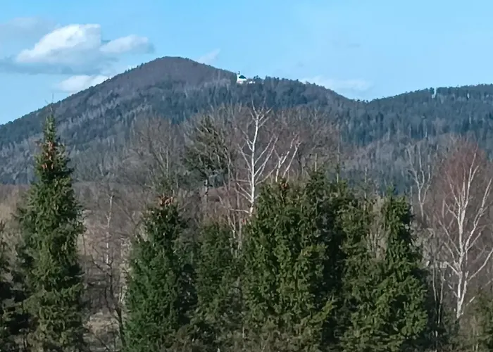 Nad Potokiem Apartment