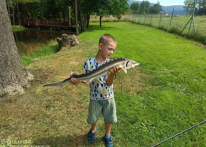 Apartment Nad Potokiem