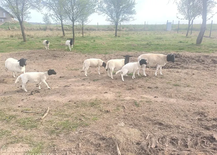 Nad Potokiem * Domaszkow